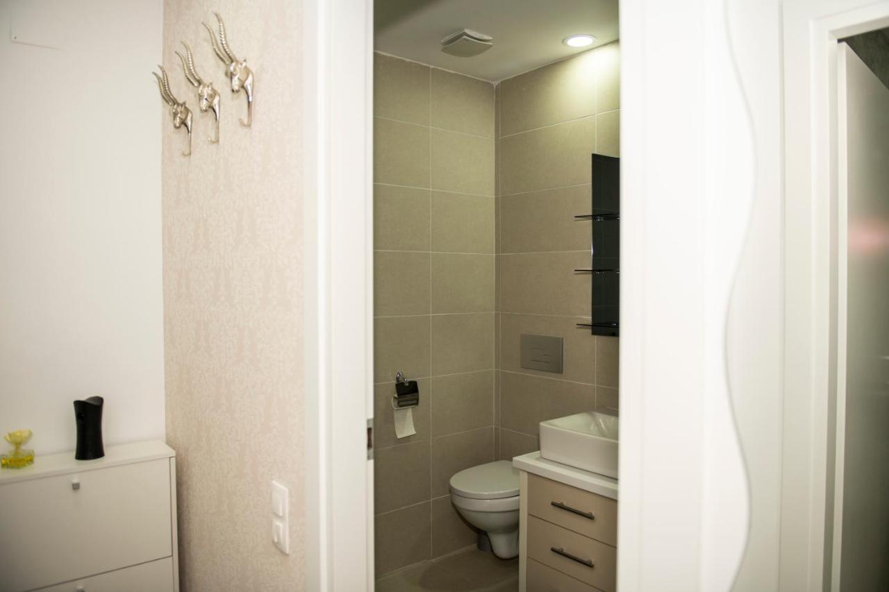 Raphael Apartment North Bucharest Cosmopolis Stefanestii de Jos Buitenkant foto