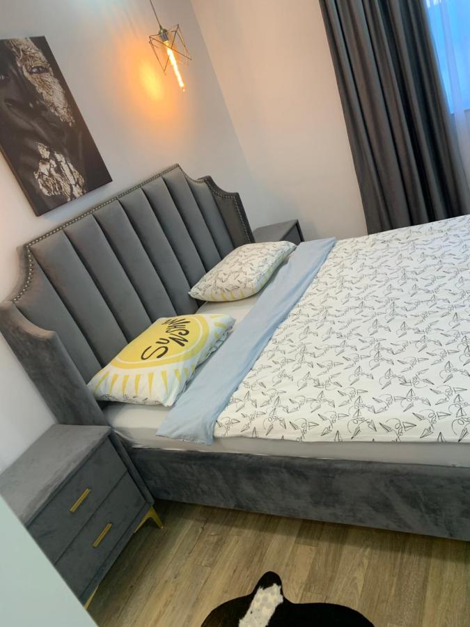 Raphael Apartment North Bucharest Cosmopolis Stefanestii de Jos Buitenkant foto